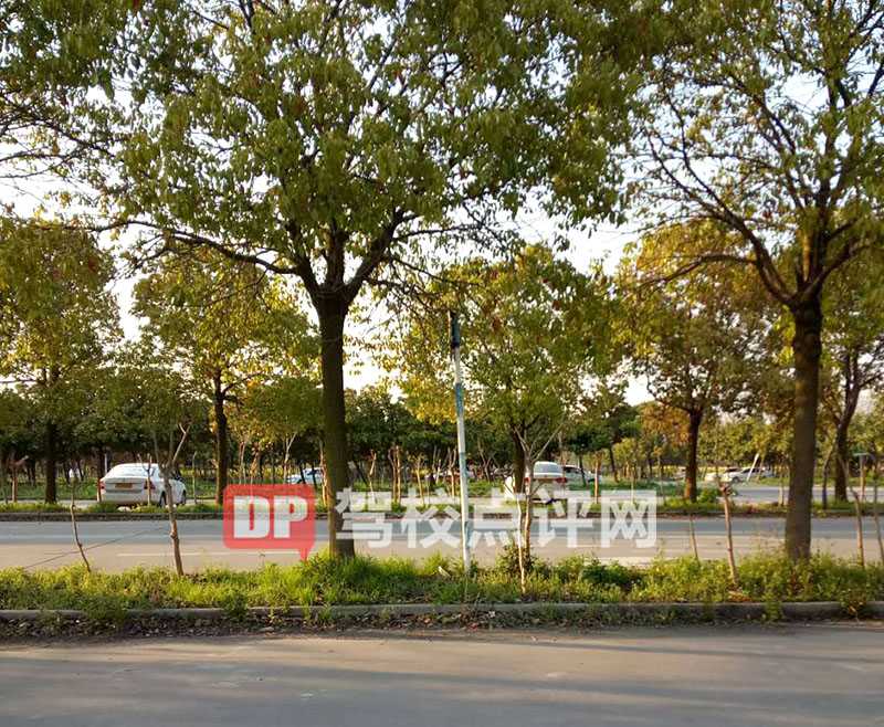 大增驾校