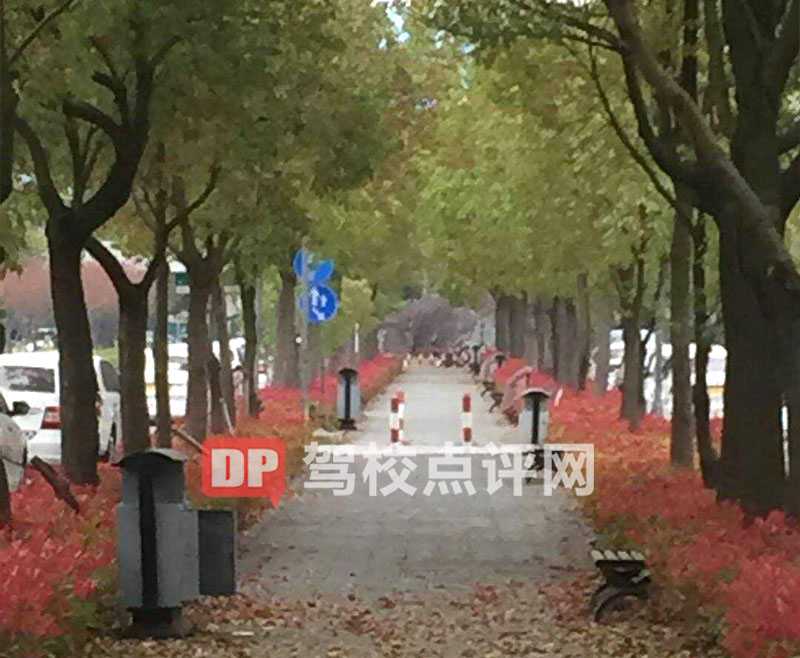 驾校环境1